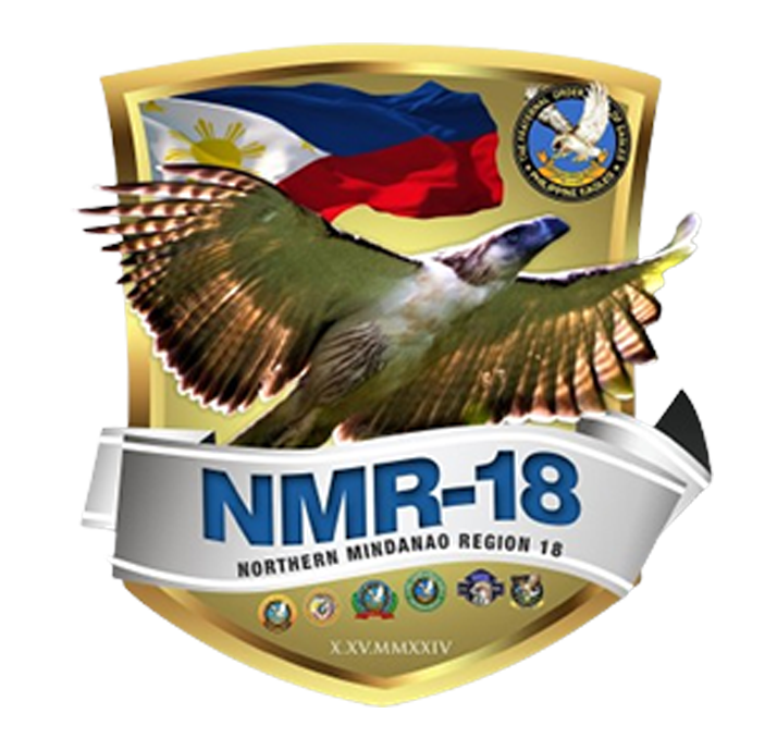 NMR-18 Logo